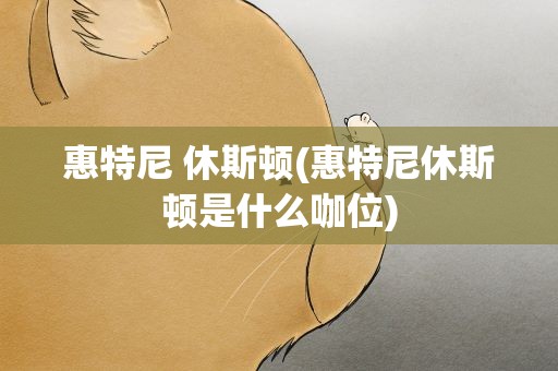惠特尼 休斯顿(惠特尼休斯顿是什么咖位)