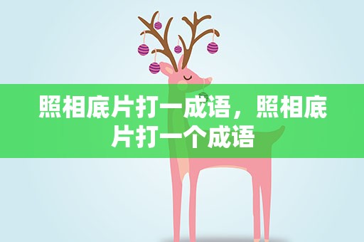 照相底片打一成语，照相底片打一个成语