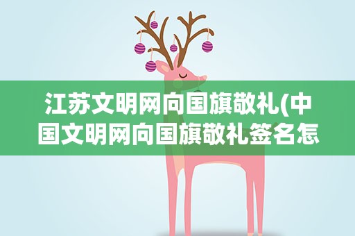 江苏文明网向国旗敬礼(中国文明网向国旗敬礼签名怎么填)