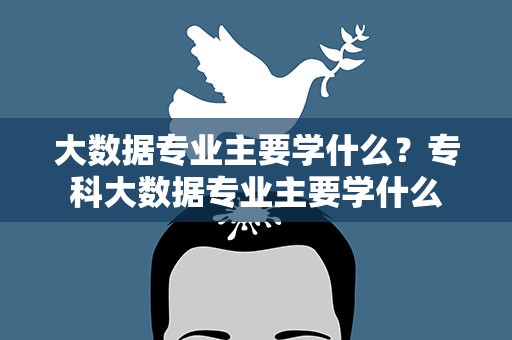 大数据专业主要学什么？专科大数据专业主要学什么