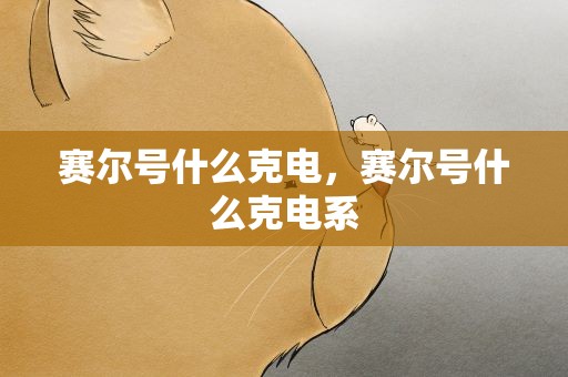赛尔号什么克电，赛尔号什么克电系