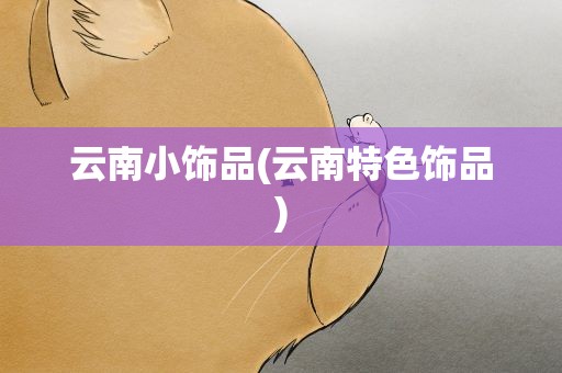云南小饰品(云南特色饰品)