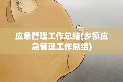 应急管理工作总结(乡镇应急管理工作总结)