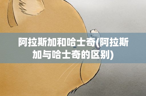 阿拉斯加和哈士奇(阿拉斯加与哈士奇的区别)
