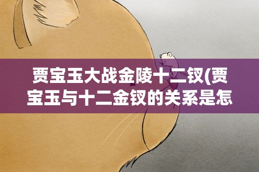 贾宝玉大战金陵十二钗(贾宝玉与十二金钗的关系是怎样的啊详细一点)