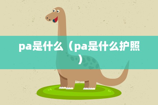 pa是什么（pa是什么护照）