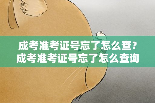 成考准考证号忘了怎么查？成考准考证号忘了怎么查询