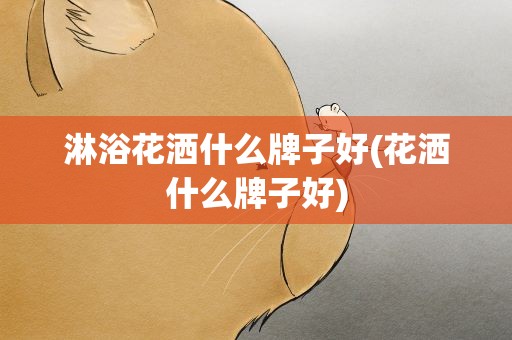 淋浴花洒什么牌子好(花洒什么牌子好)