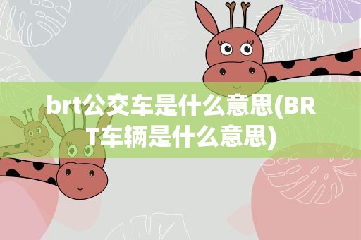 brt公交车是什么意思(BRT车辆是什么意思)