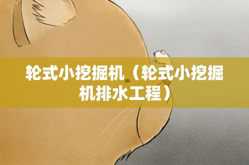 轮式小挖掘机（轮式小挖掘机排水工程）