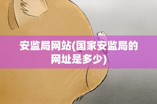 安监局网站(国家安监局的网址是多少)