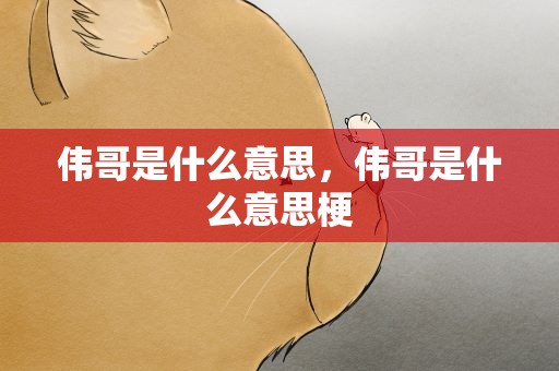 伟哥是什么意思，伟哥是什么意思梗