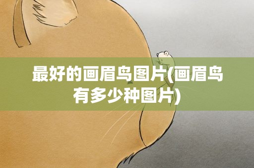 最好的画眉鸟图片(画眉鸟有多少种图片)