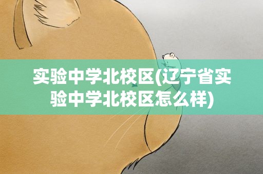 实验中学北校区(辽宁省实验中学北校区怎么样)
