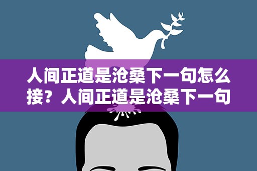 人间正道是沧桑下一句怎么接？人间正道是沧桑下一句怎么接有趣