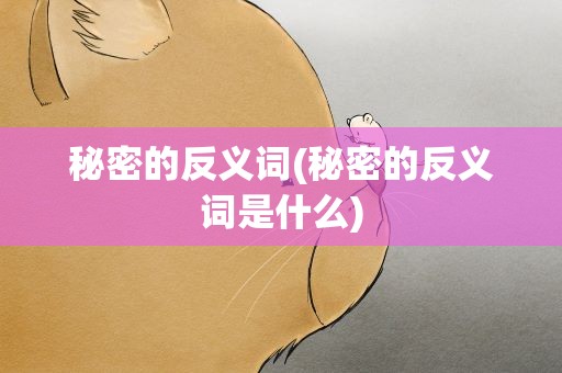 秘密的反义词(秘密的反义词是什么)