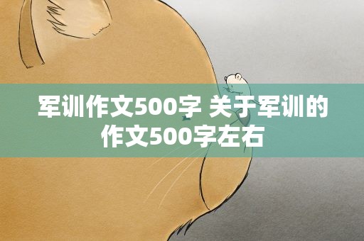 军训作文500字 关于军训的作文500字左右