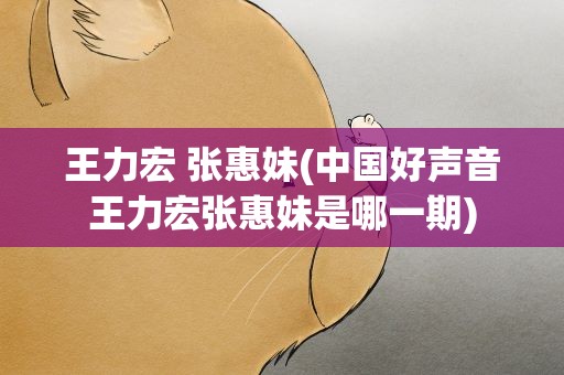 王力宏 张惠妹(中国好声音王力宏张惠妹是哪一期)