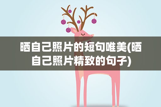 晒自己照片的短句唯美(晒自己照片精致的句子)