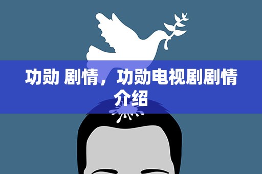 功勋 剧情，功勋电视剧剧情介绍