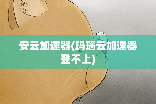 安云加速器(玛瑙云加速器登不上)