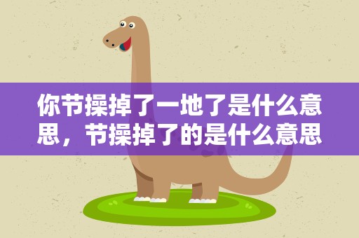 你节操掉了一地了是什么意思，节操掉了的是什么意思啊