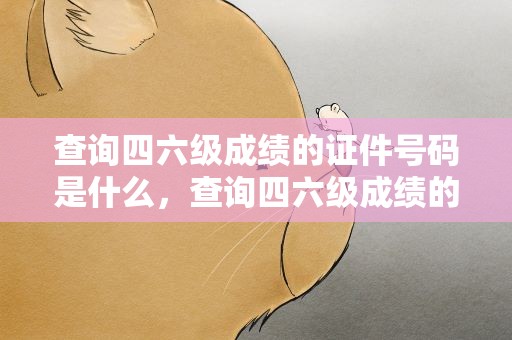 查询四六级成绩的证件号码是什么，查询四六级成绩的证件号码是什么号