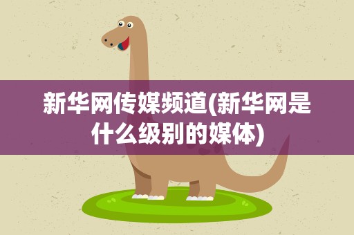 新华网传媒频道(新华网是什么级别的媒体)