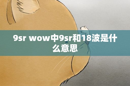 9sr wow中9sr和18波是什么意思