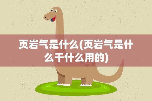 页岩气是什么(页岩气是什么干什么用的)