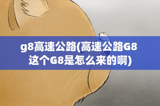 g8高速公路(高速公路G8 这个G8是怎么来的啊)