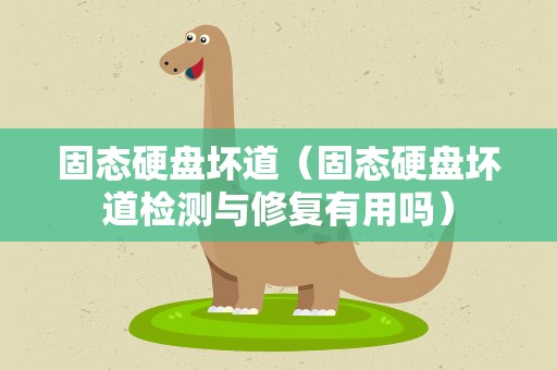 固态硬盘坏道（固态硬盘坏道检测与修复有用吗）