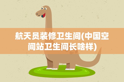 航天员装修卫生间(中国空间站卫生间长啥样)