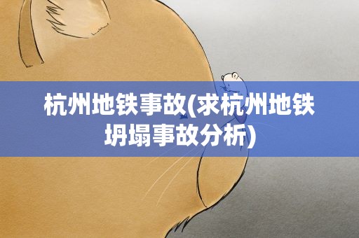 杭州地铁事故(求杭州地铁坍塌事故分析)