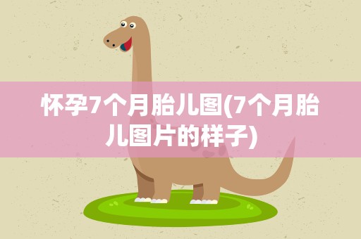 怀孕7个月胎儿图(7个月胎儿图片的样子)