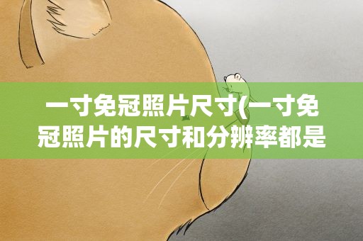 一寸免冠照片尺寸(一寸免冠照片的尺寸和分辨率都是多少)