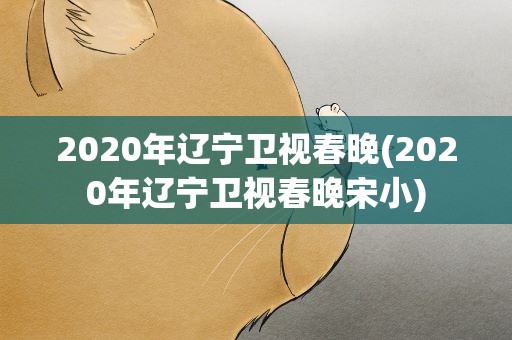 2020年辽宁卫视春晚(2020年辽宁卫视春晚宋小)