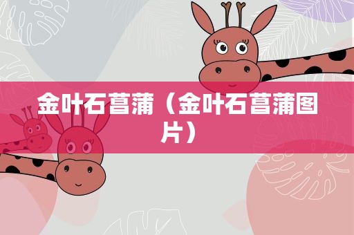 金叶石菖蒲（金叶石菖蒲图片）