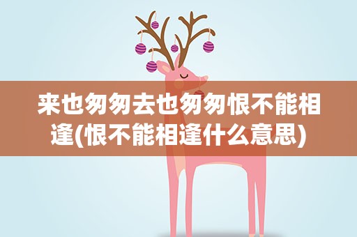 来也匆匆去也匆匆恨不能相逢(恨不能相逢什么意思)