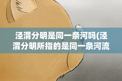 泾渭分明是同一条河吗(泾渭分明所指的是同一条河流吗)