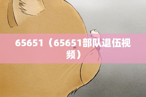 65651（65651部队退伍视频）