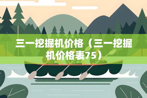 三一挖掘机价格（三一挖掘机价格表75）