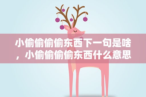 小偷偷偷偷东西下一句是啥，小偷偷偷偷东西什么意思