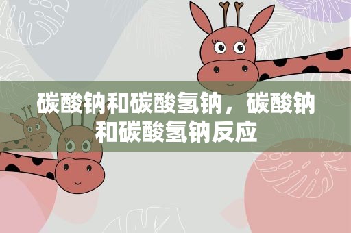 碳酸钠和碳酸氢钠，碳酸钠和碳酸氢钠反应