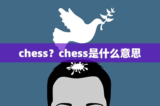 chess？chess是什么意思