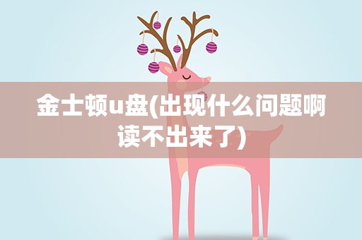 金士顿u盘(出现什么问题啊读不出来了)