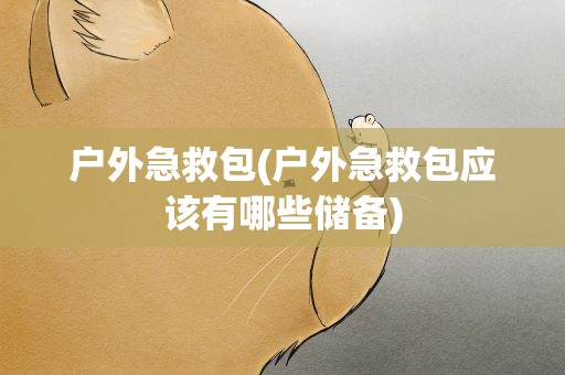 户外急救包(户外急救包应该有哪些储备)