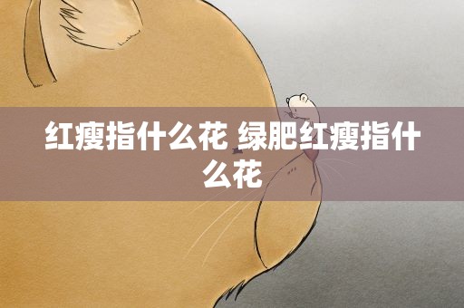 红瘦指什么花 绿肥红瘦指什么花