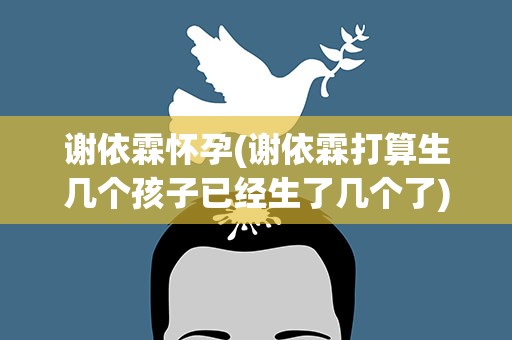 谢依霖怀孕(谢依霖打算生几个孩子已经生了几个了)