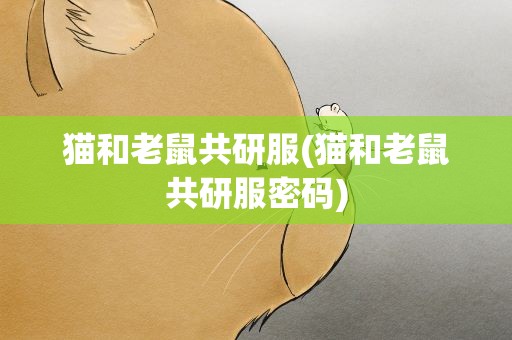 猫和老鼠共研服(猫和老鼠共研服密码)